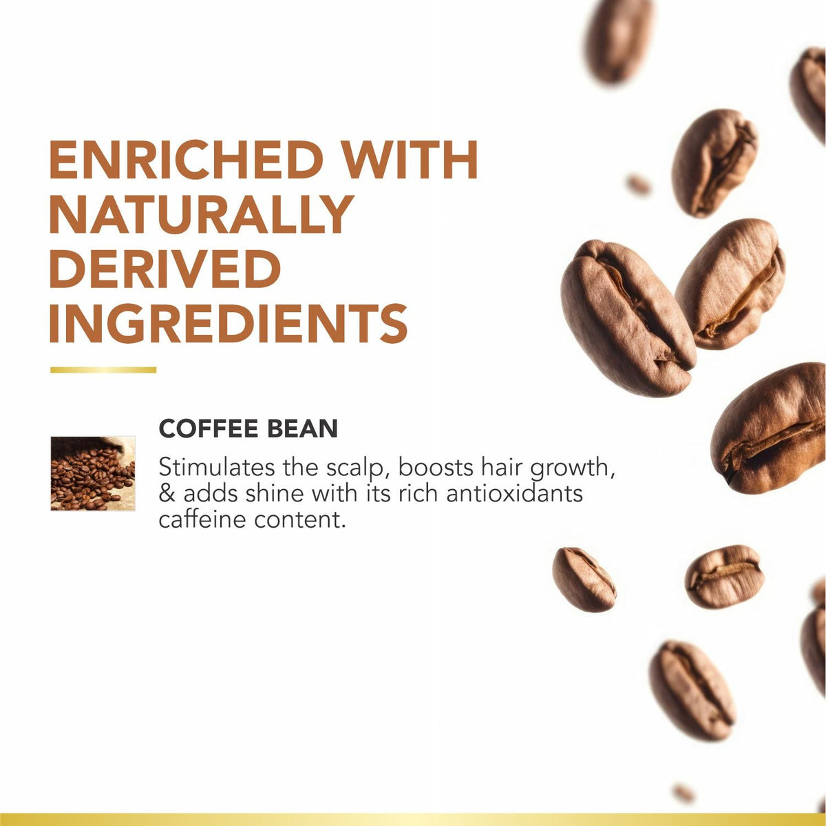 Coffee Bean Shampoo & Conditioner | Exfoliates Scalp, Improves Hair Colour