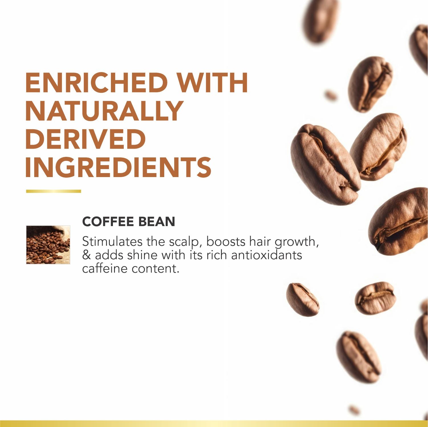 Coffee Bean Shampoo & Conditioner | Exfoliates Scalp, Improves Hair Colour