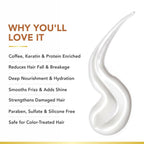 Coffee Bean Shampoo & Conditioner | Exfoliates Scalp, Improves Hair Colour